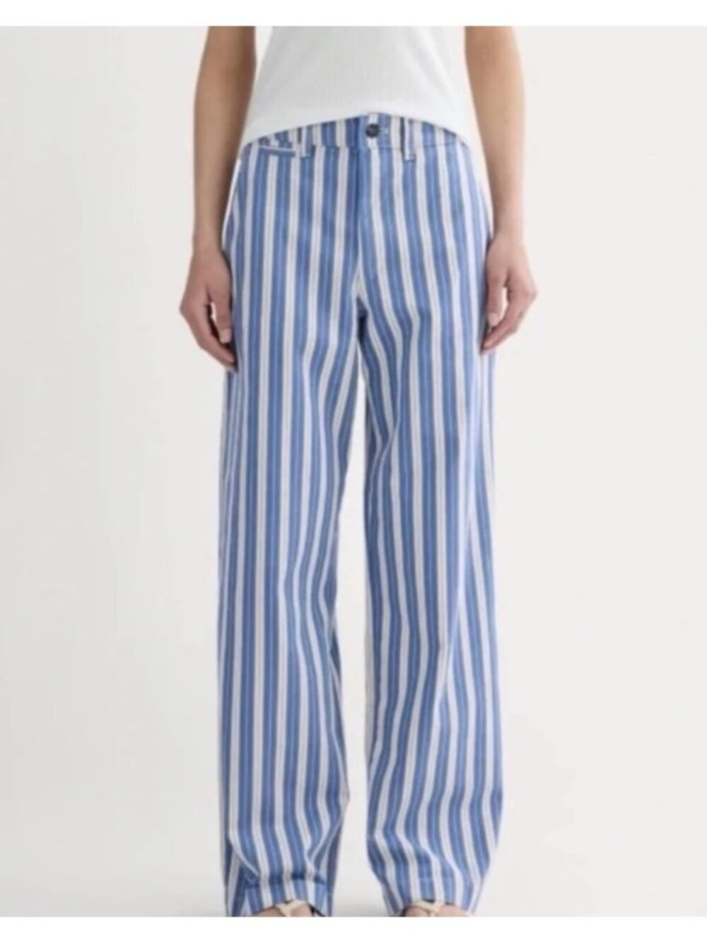 NEW Everlane Wide-Leg Chino High-Rise Striped Pants Relaxed Organic Cotton 6